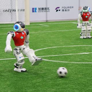 Strong Forward Kick