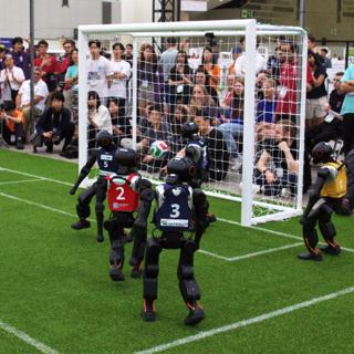 Into the Net