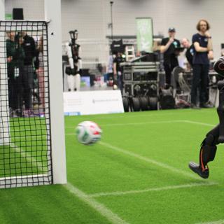 Hard Kick into the Goal