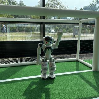 Training for the Autonomous Calibration Challenge
